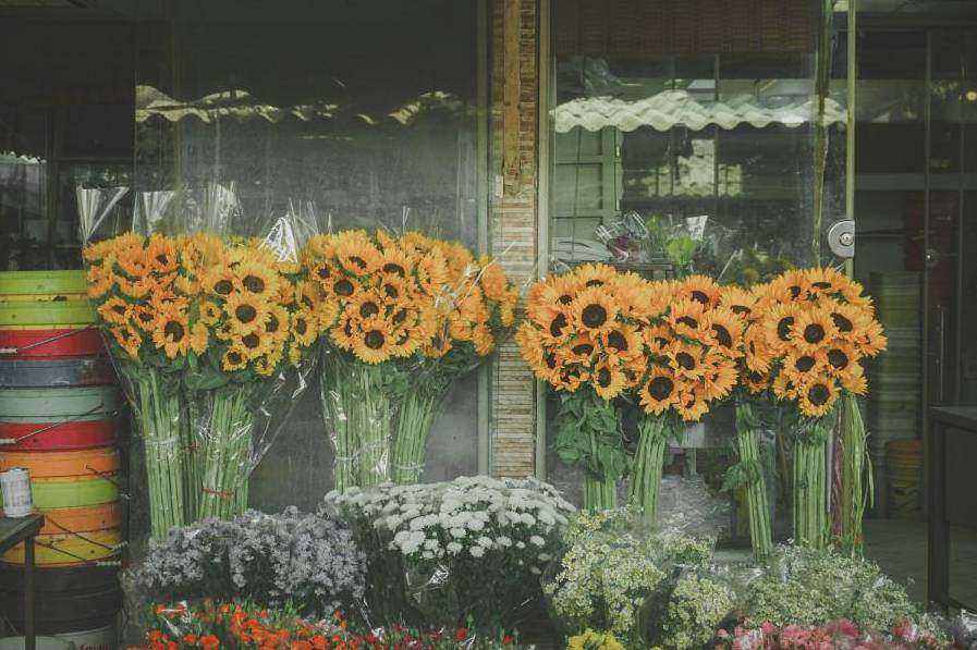 Workshop terms
