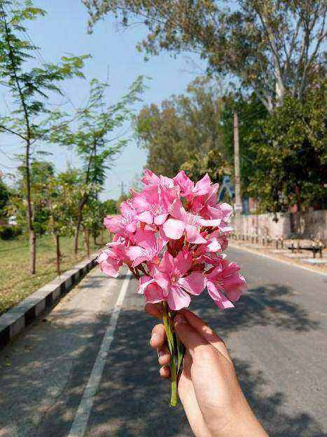 Instructor hands arranging flowers