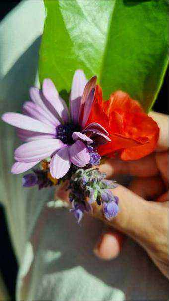 Bouquet basics hero