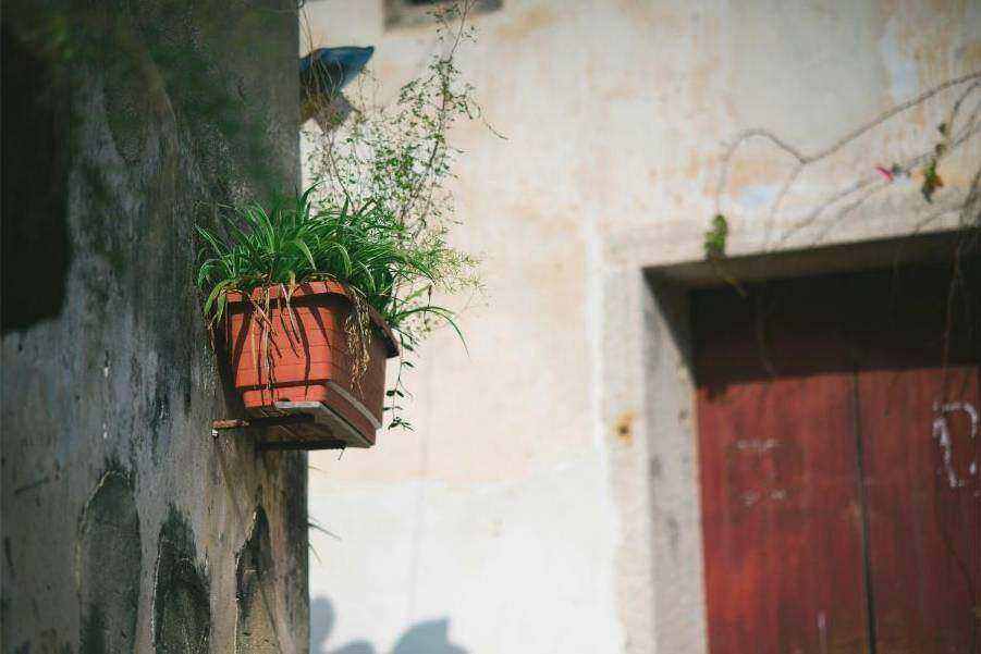 Boutonnière detail